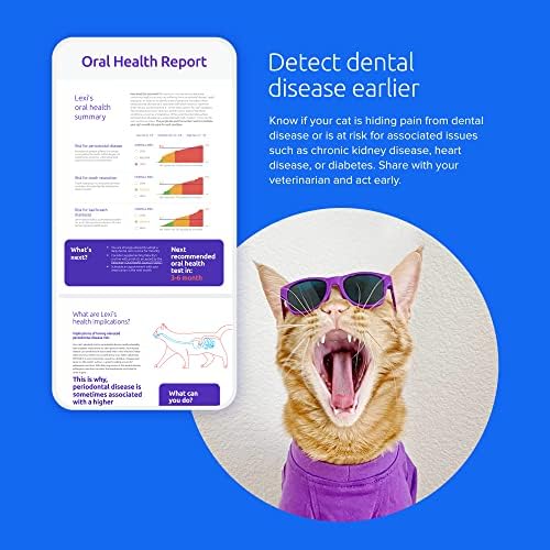 מבחן DNA של BasePaws Cat | גזע + בריאות + דוח שיניים | גזעי חתול מובילים ו -114 סמני בריאות ותכונות | כפי